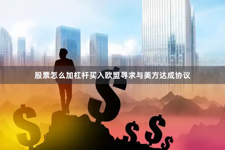 股票怎么加杠杆买入欧盟寻求与美方达成协议